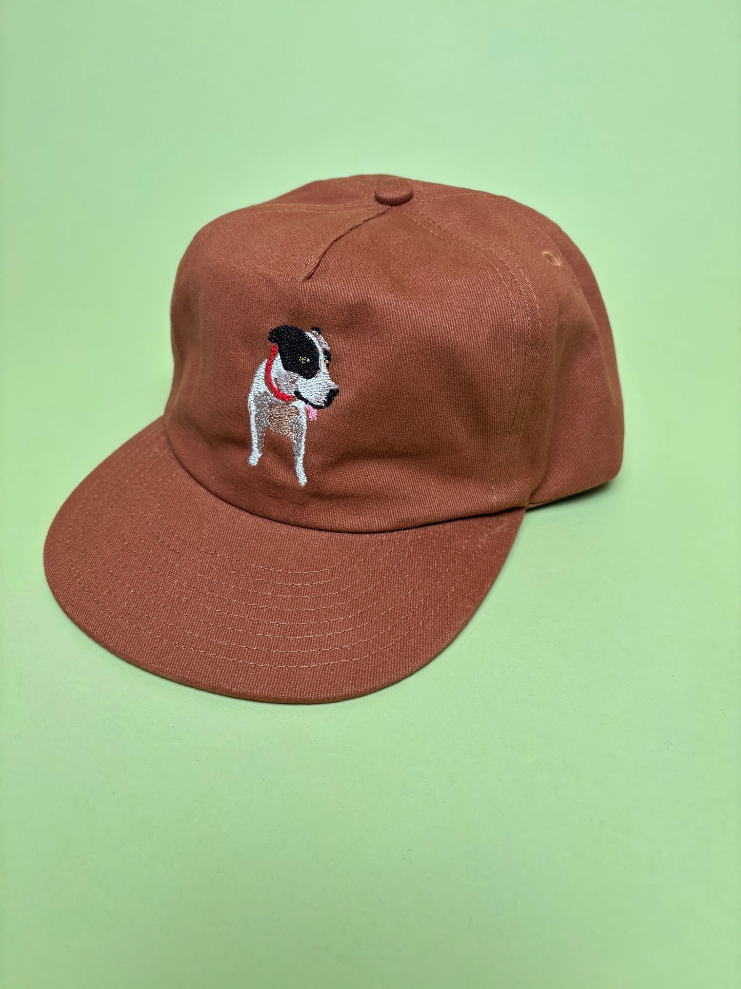 Custom Embroidered Pet Portrait Hats