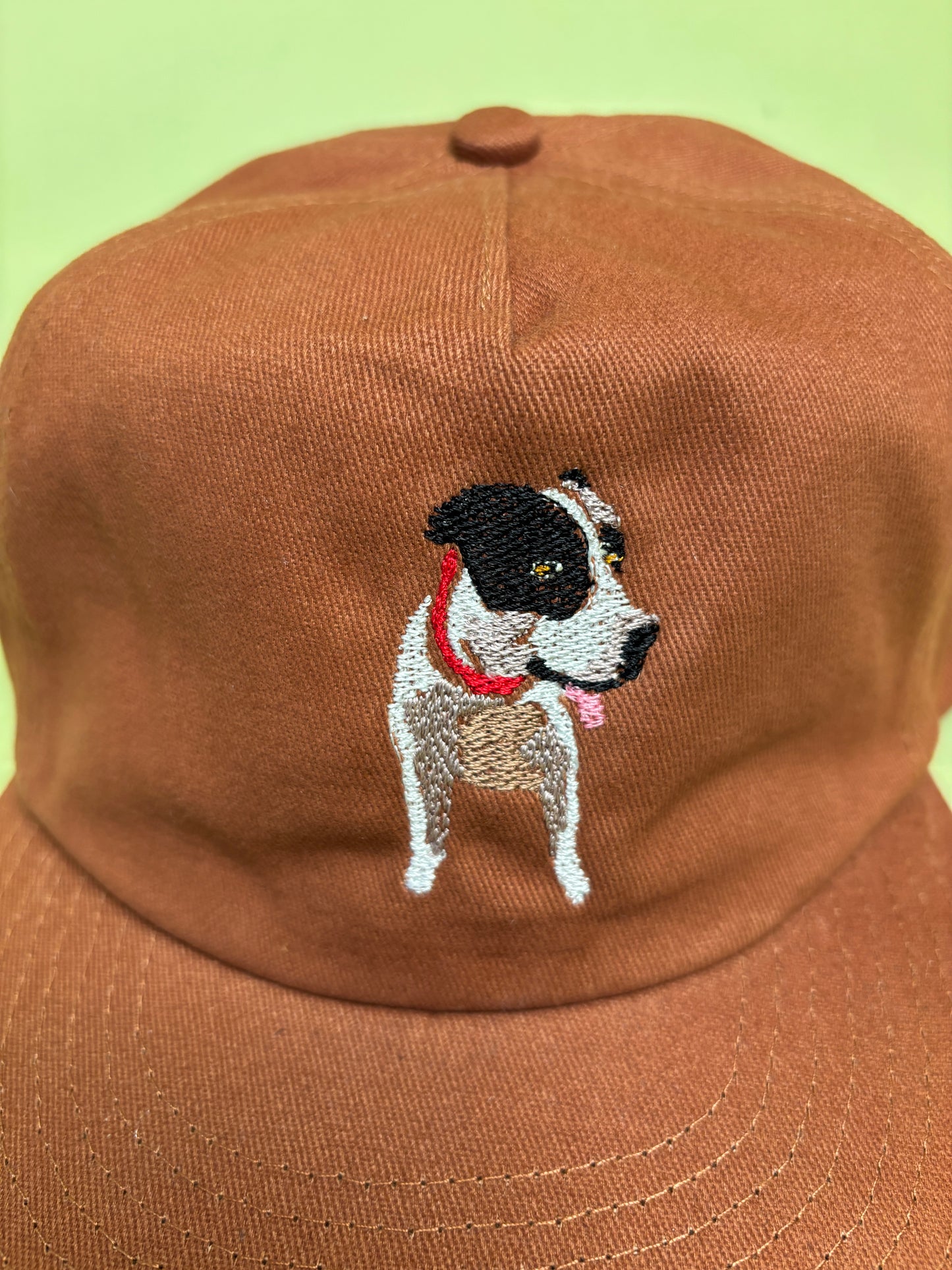 Custom Embroidered Pet Portrait Hats