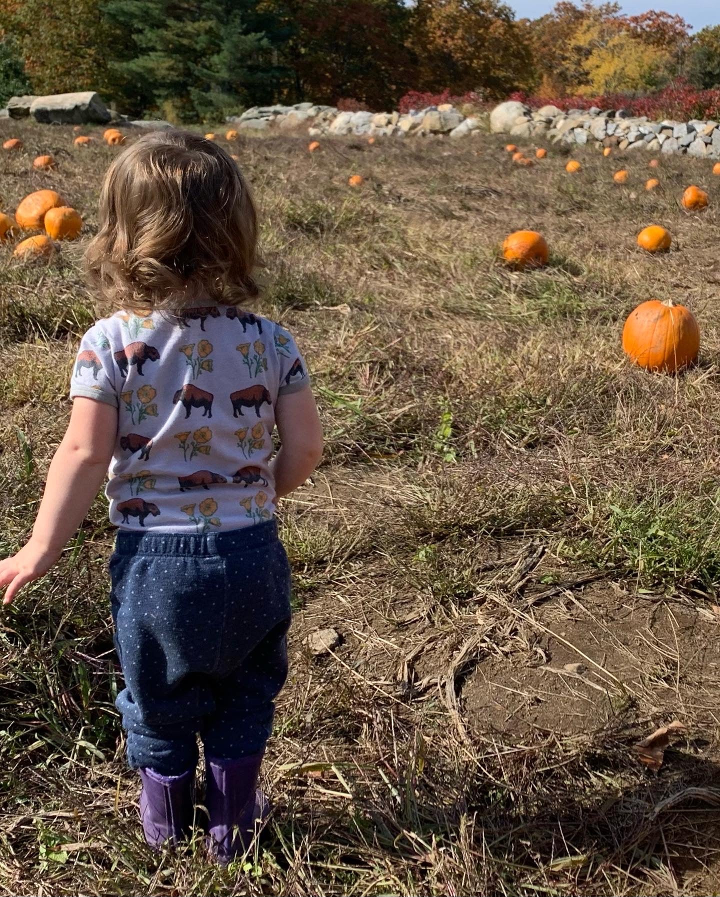 ルイス・カーディナス/アニマル・インスティンクト Home | Animal Instincts Apparel