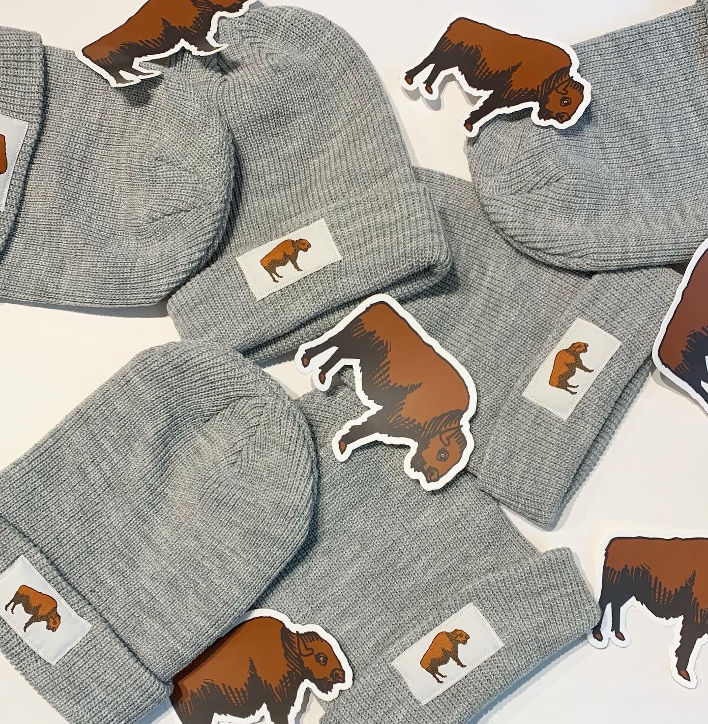 Bison Beanie hat