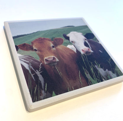 Ceramic Animal Coasters