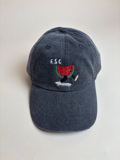 Easthampton Skate Club Watermelon Dad Hats