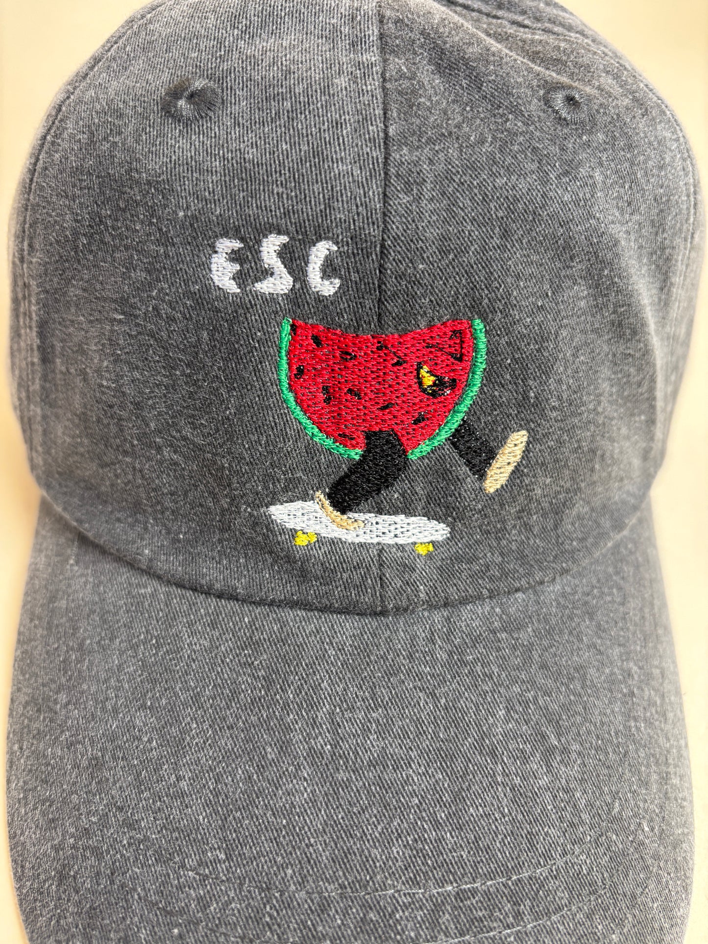 Easthampton Skate Club Watermelon Dad Hats