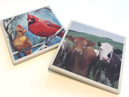 Ceramic Animal Coasters