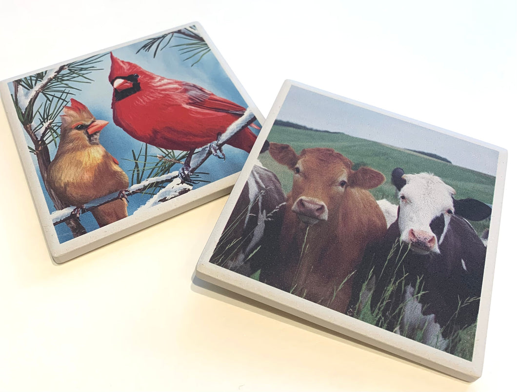 Ceramic Animal Coasters