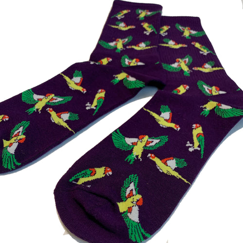 Women Cotton Purple Flying Parrot Socks