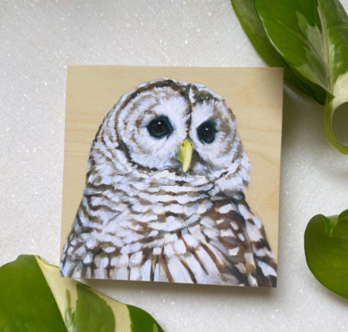 Barred Owl – Bird Art Print on Wood