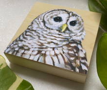 Barred Owl – Bird Art Print on Wood