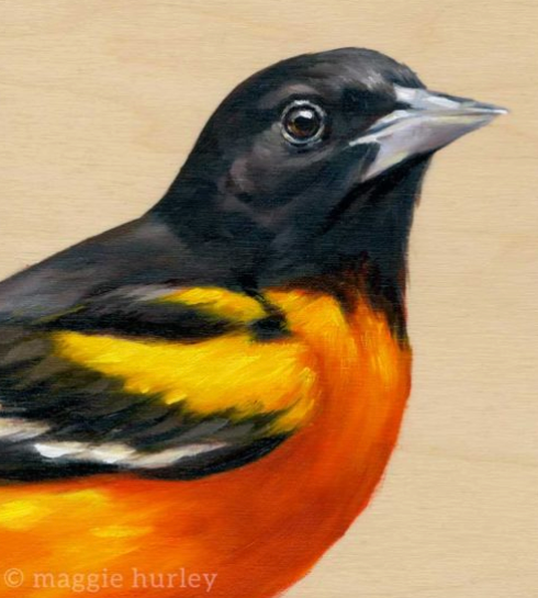 Baltimore Oriole – Bird Art Print on Wood