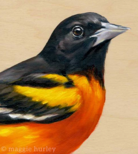 Baltimore Oriole – Bird Art Print on Wood