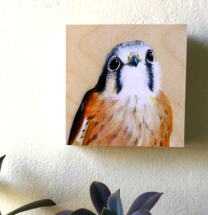 Bird on Wood – American Kestrel