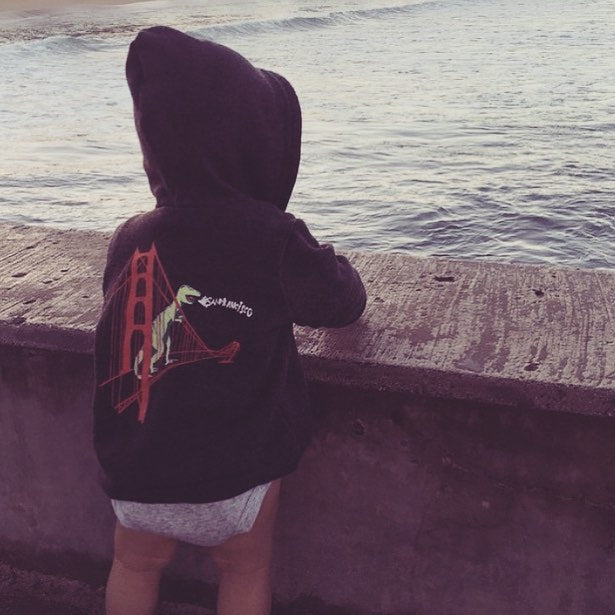 Kids' Heather Black San Francisco Dinosaur Fleece Zip Hoodie – Made in San Francisco