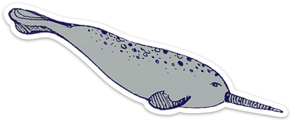 Narwhal Sticker