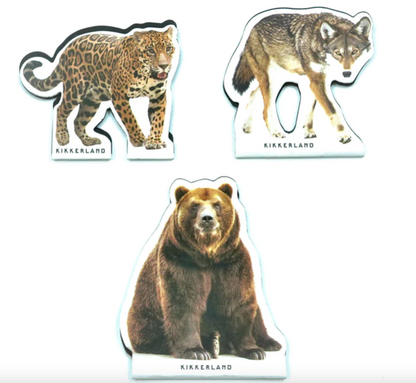 Endangered Animal Bookmark Sets