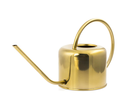 Vintage Gold Watering Can