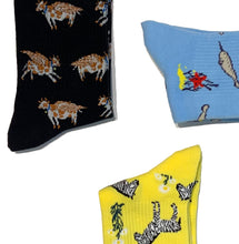 Womens Cotton Sock Bundle - Narwhal, Flying Cows and Zebra Print