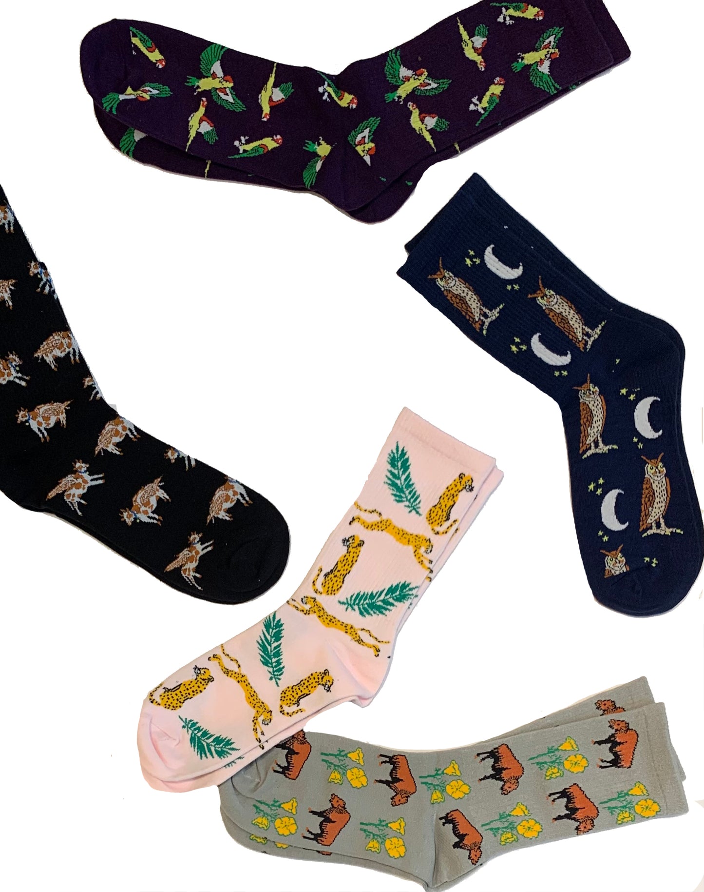 Mens Cotton Flying Cow Black Socks