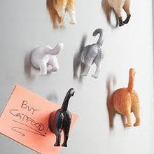 Magnets - Cat Butts