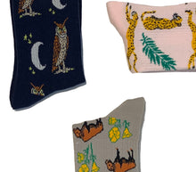 Womens Cotton Sock Bundle - Owl Moon, Bison Poppy and Cheetah Prints