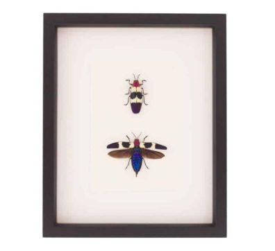 Beetles - Red Speckled Jewel Set